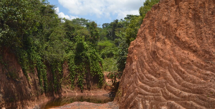 How the EU Conflict Minerals Regulation can support the responsible sourcing of Amazonian gold