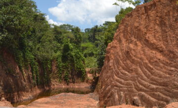 How the EU Conflict Minerals Regulation can support the responsible sourcing of Amazonian gold