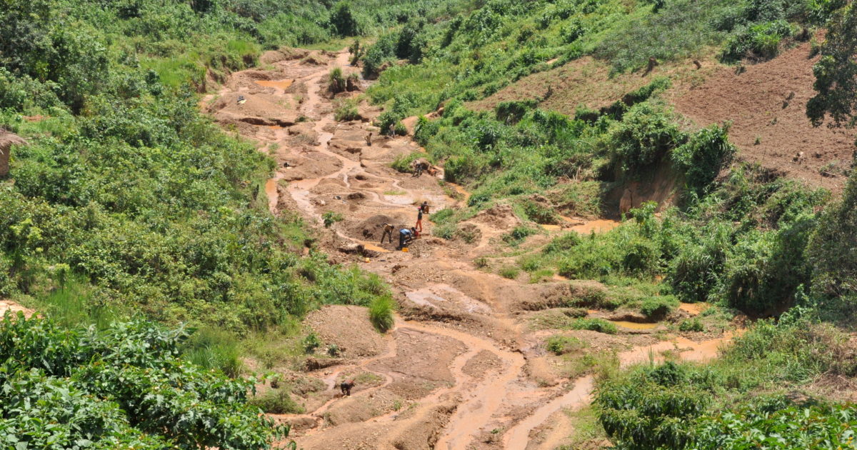 Gender equality to safeguard the environment: how women can improve the ...